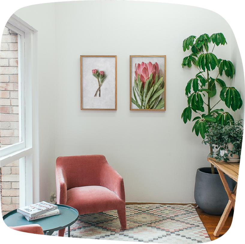 pink venus protea wall art print, botanical floral decor, digital wall art, printable art, UK, England, United Kingdom