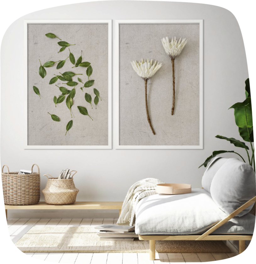 White king protea, digital wall art, printable art, botanical prints, leaf art, UK, England, United Kingdom White king protea, digital wall art, printable art, botanical prints, leaf art, UK, England, United Kingdom